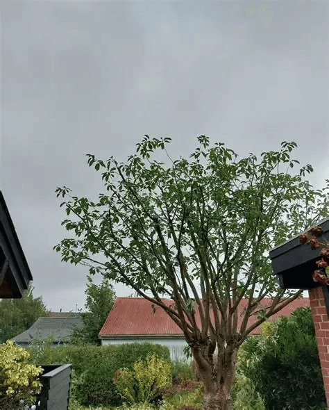 Close-up of a sleek dark green SUV with modern design elements, illuminated against a dark green background.
