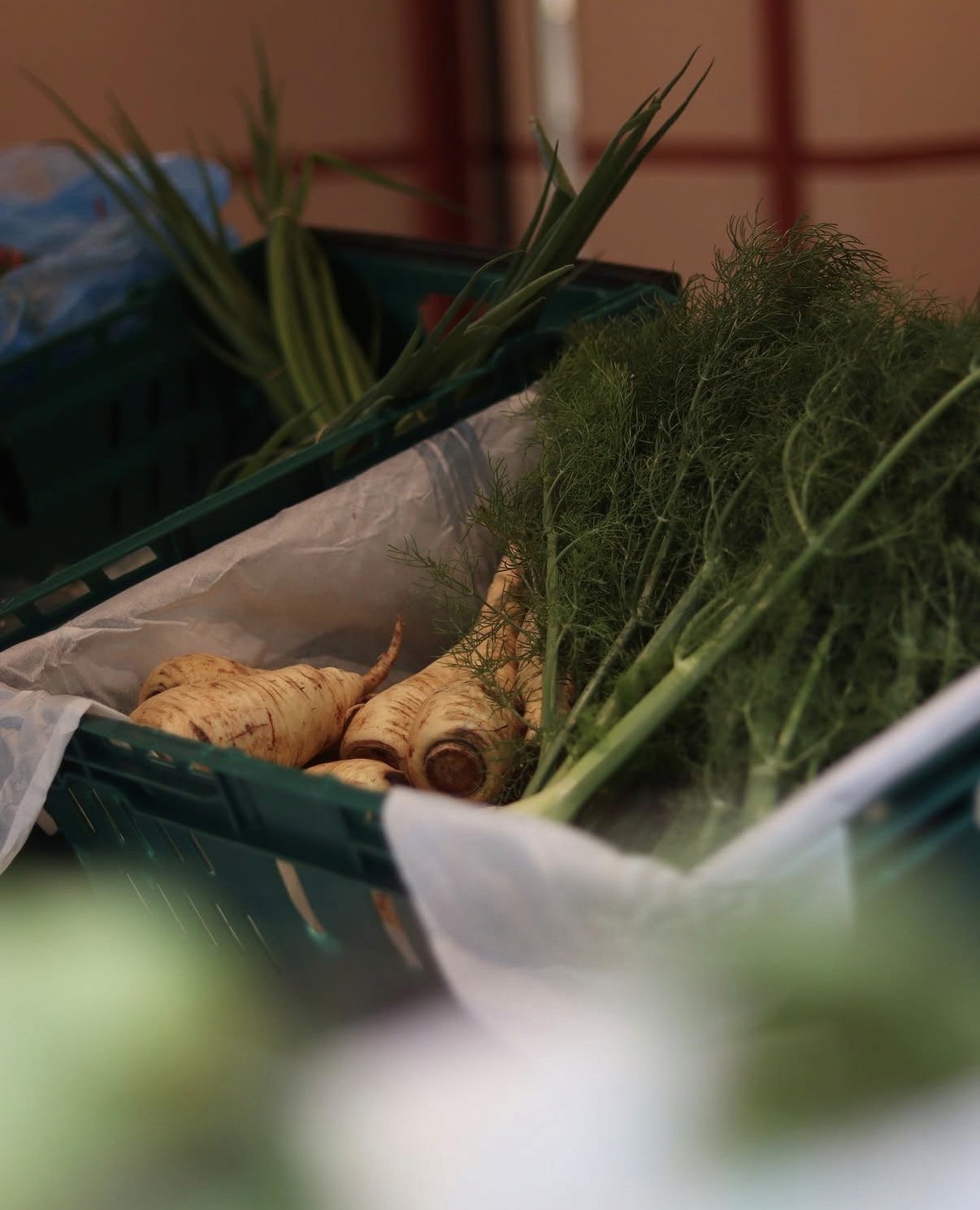 A person holding up organically grown carrots to show that it is important to have a sustainable Food System
