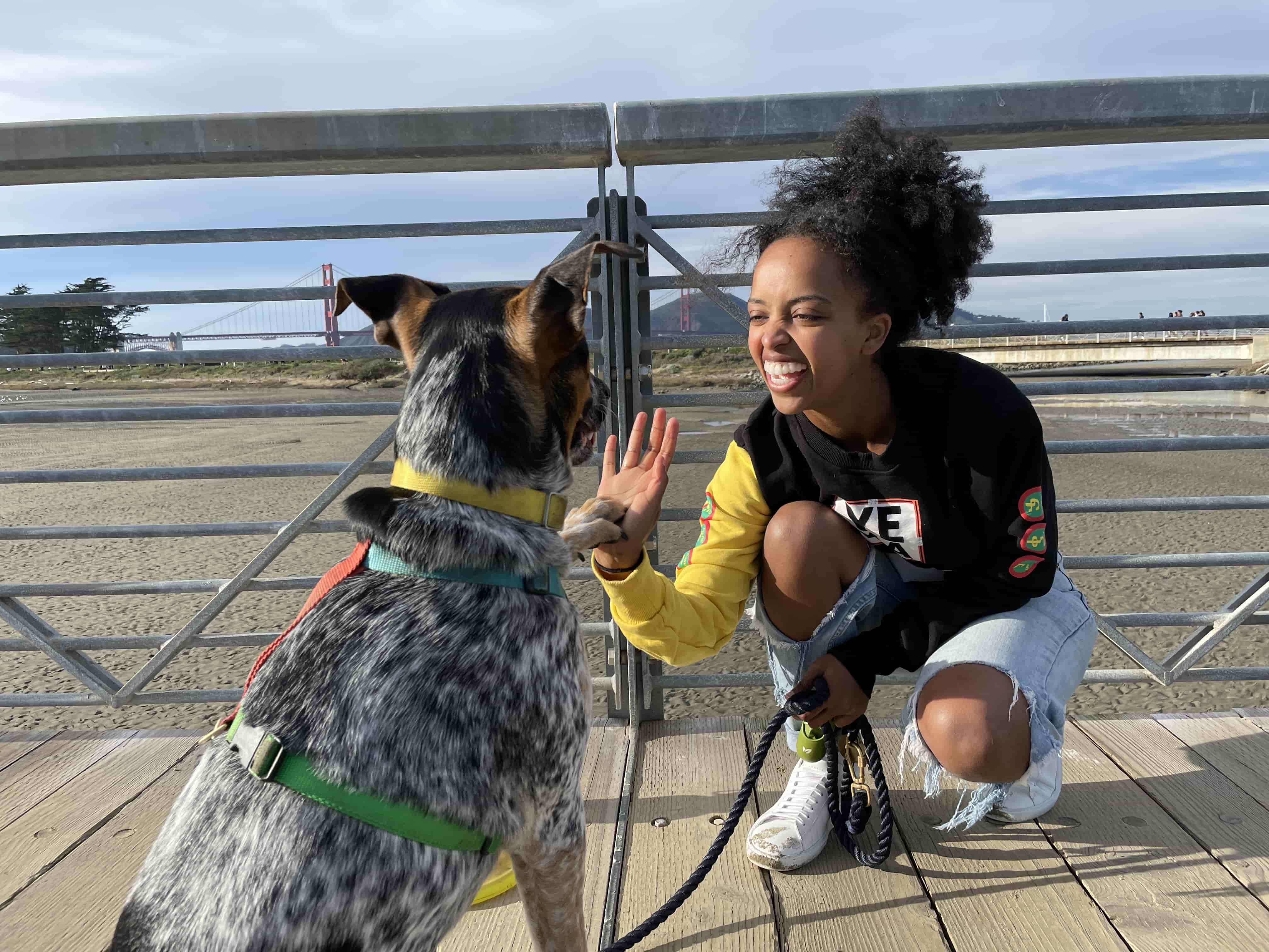 A dog and a woman high fiving on a bridge.