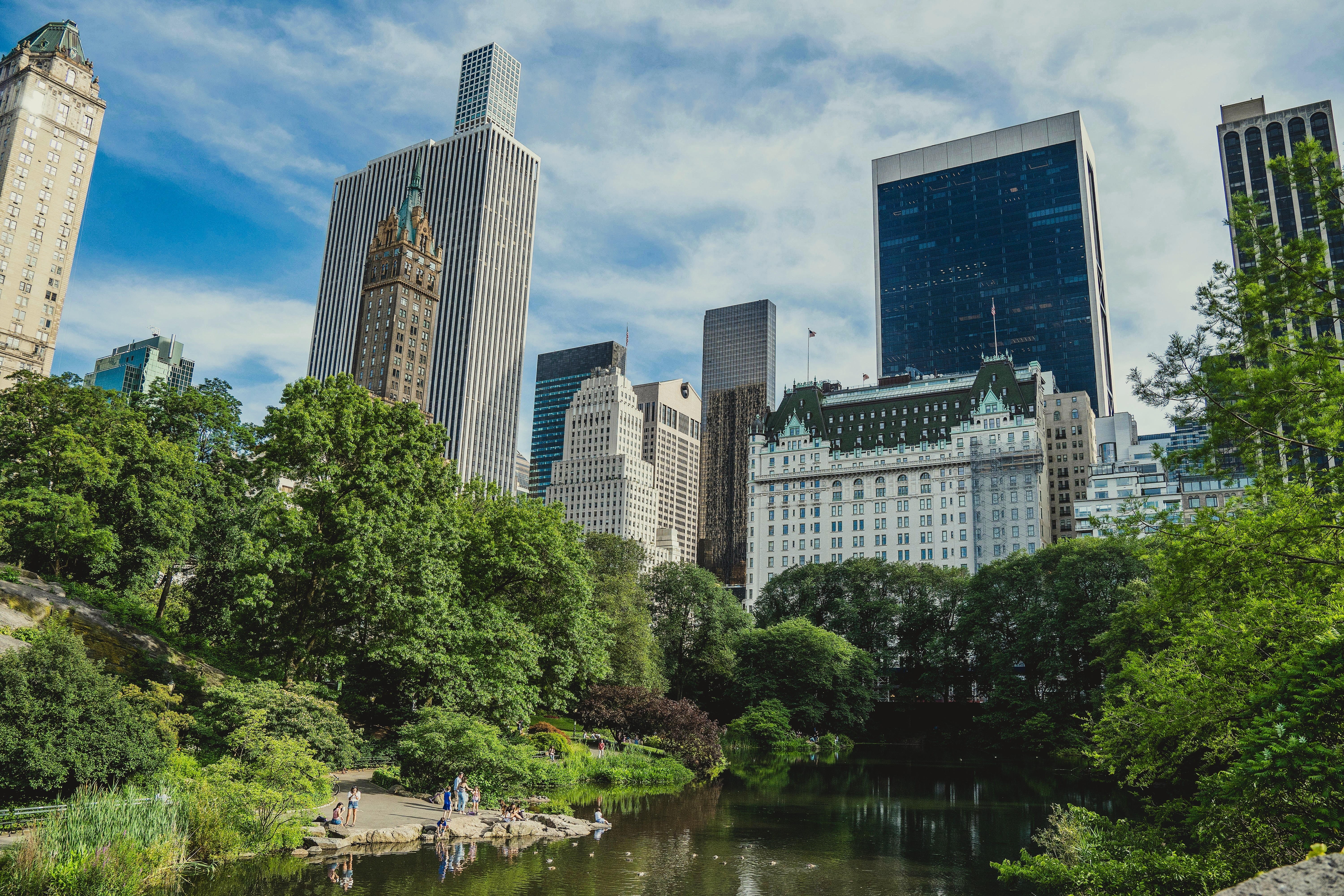 Photo of Central Park in New York during Summer 