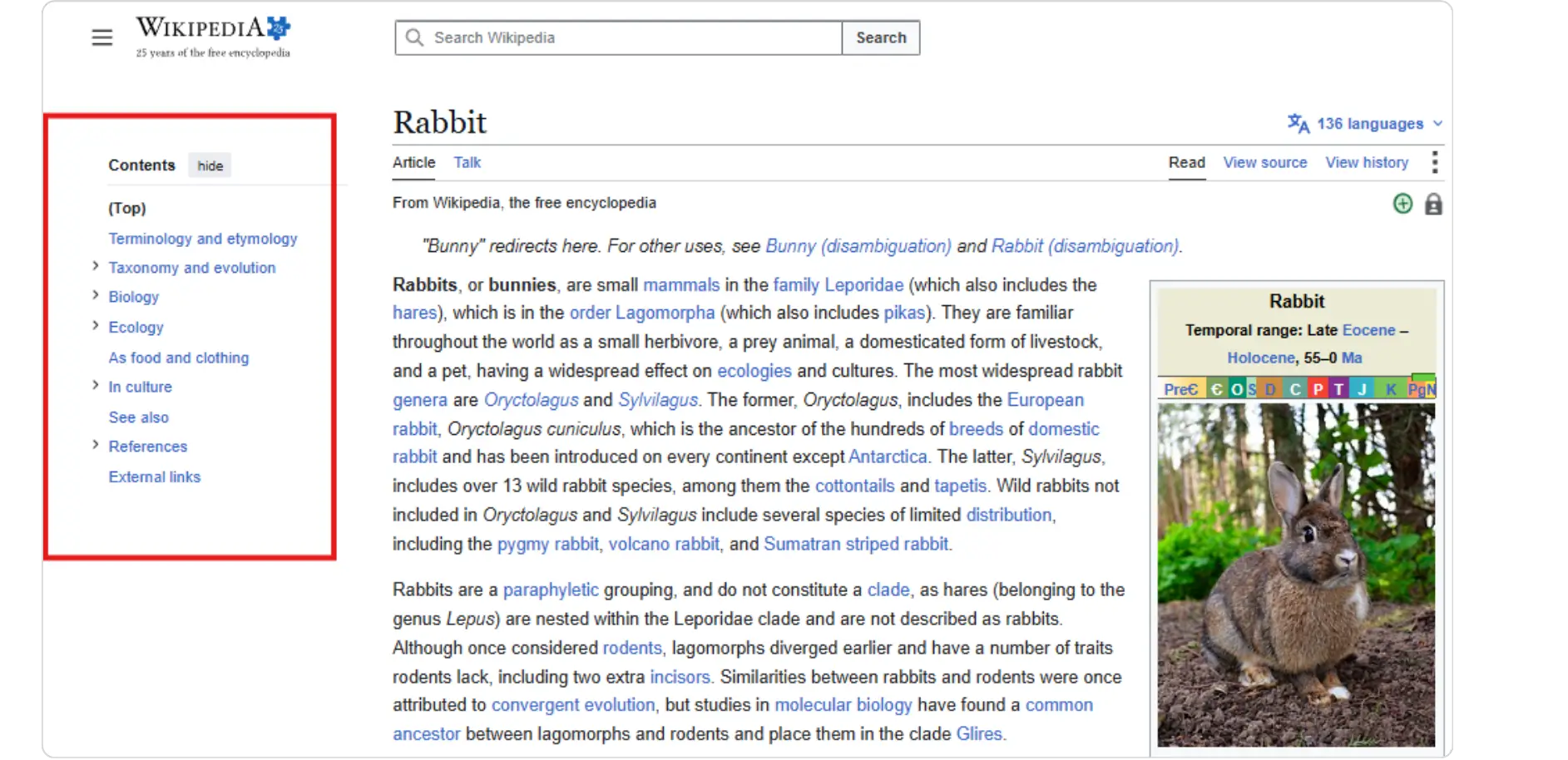 Rabbit Wikipedia article as entity example