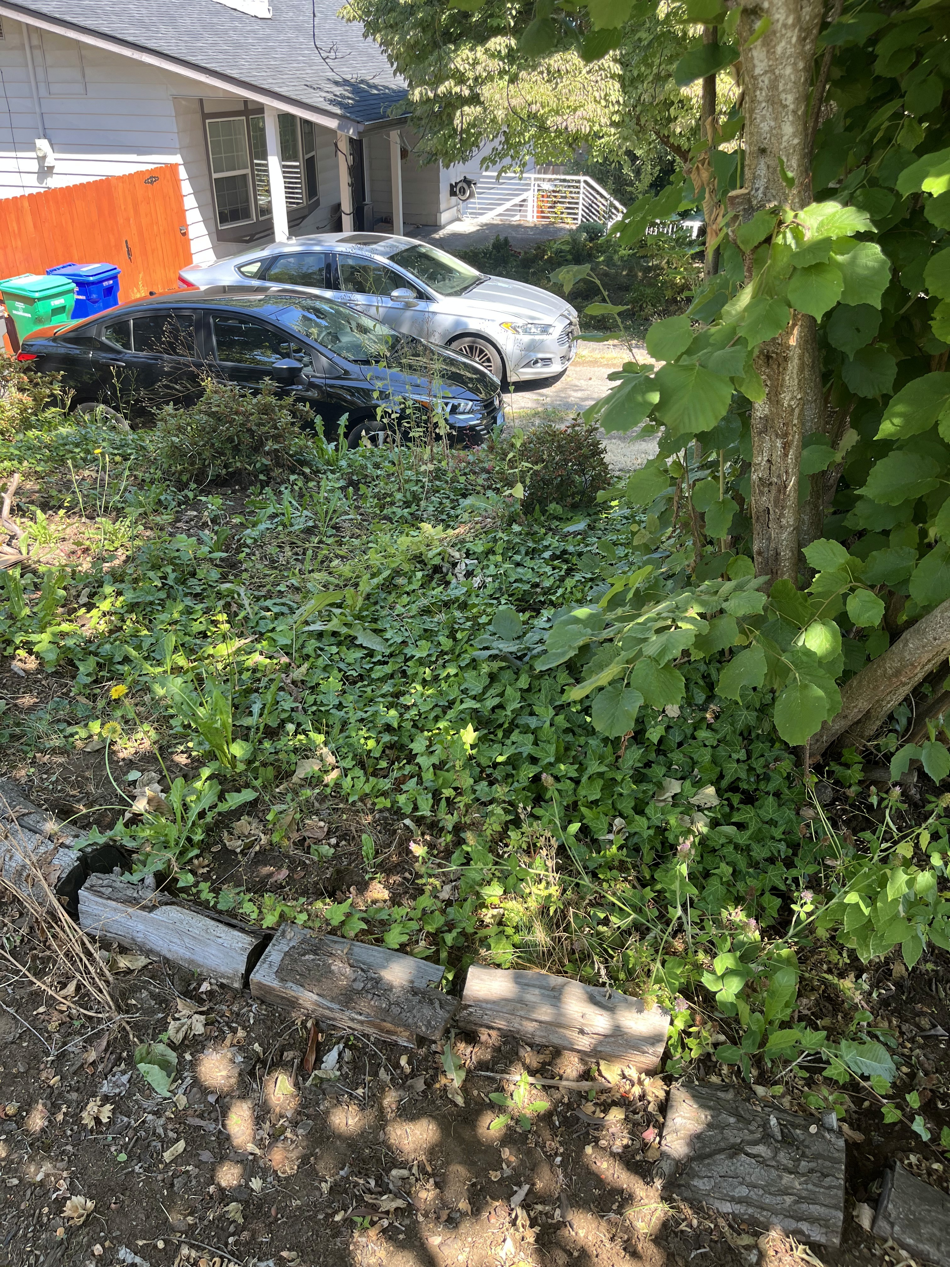 Private garden
