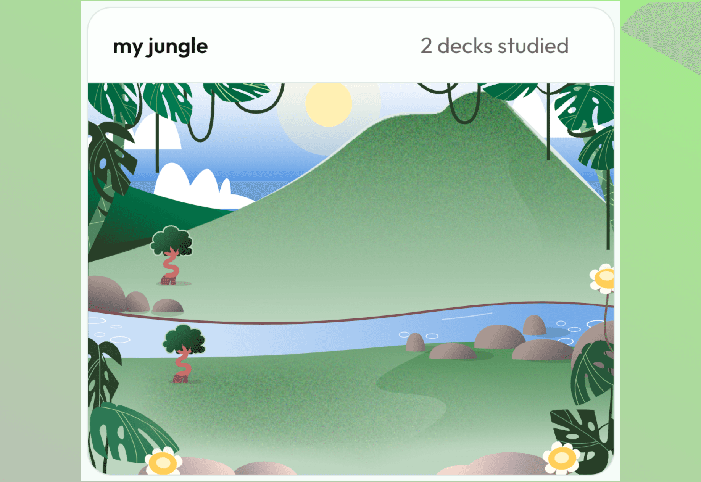 Classes setup by a student in Jungle