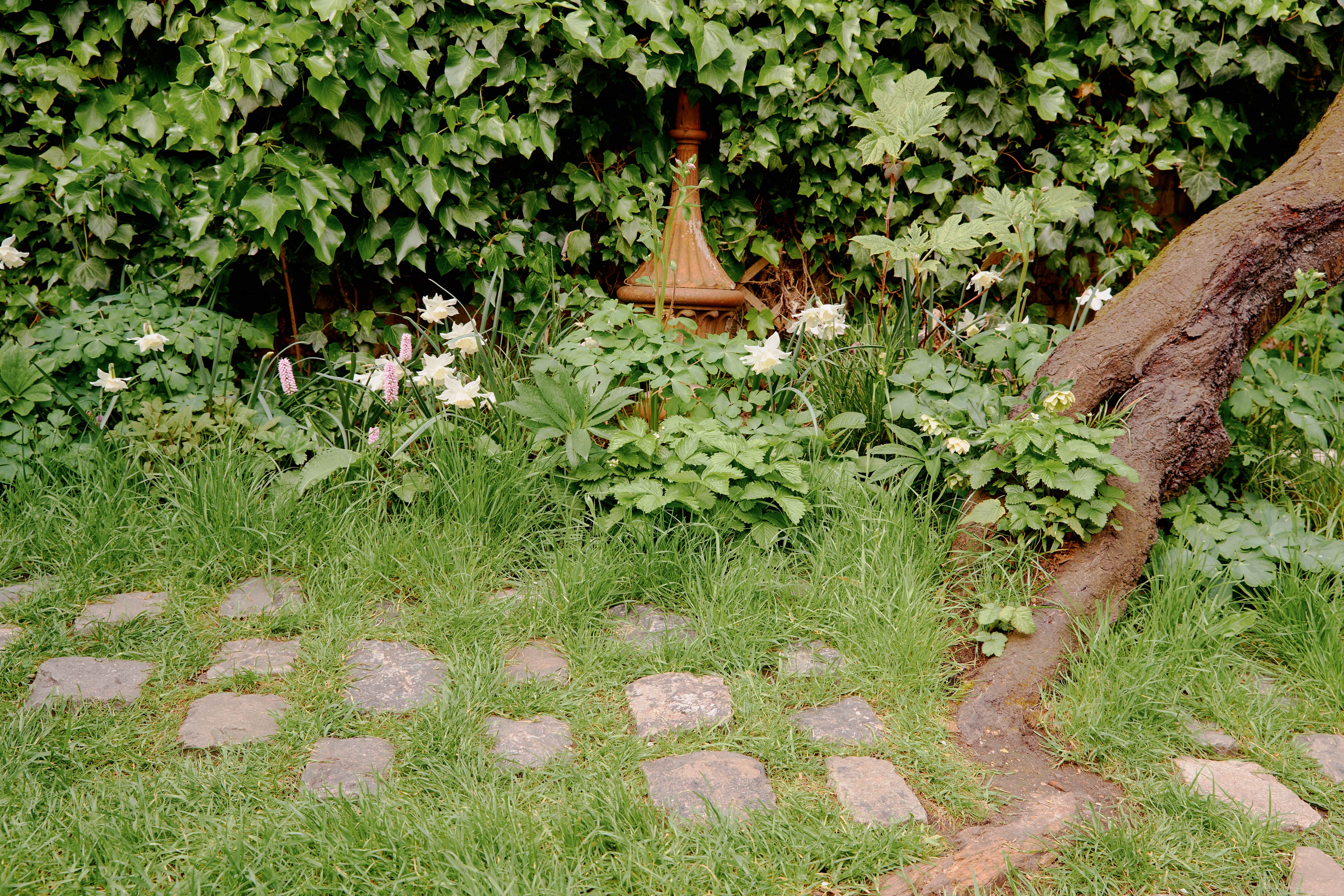 Paving stones in lawn