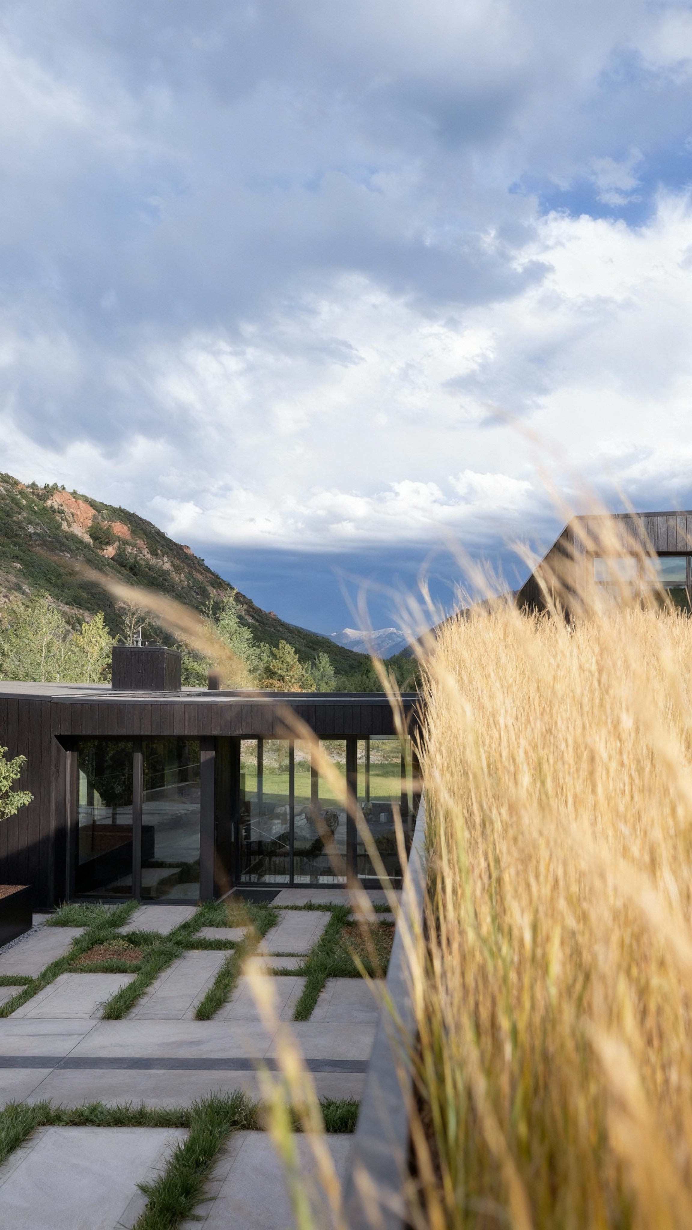 Perspective view of modern home and pool framed by tall grass.