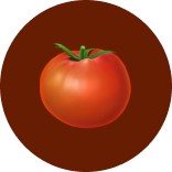Reviewer Image