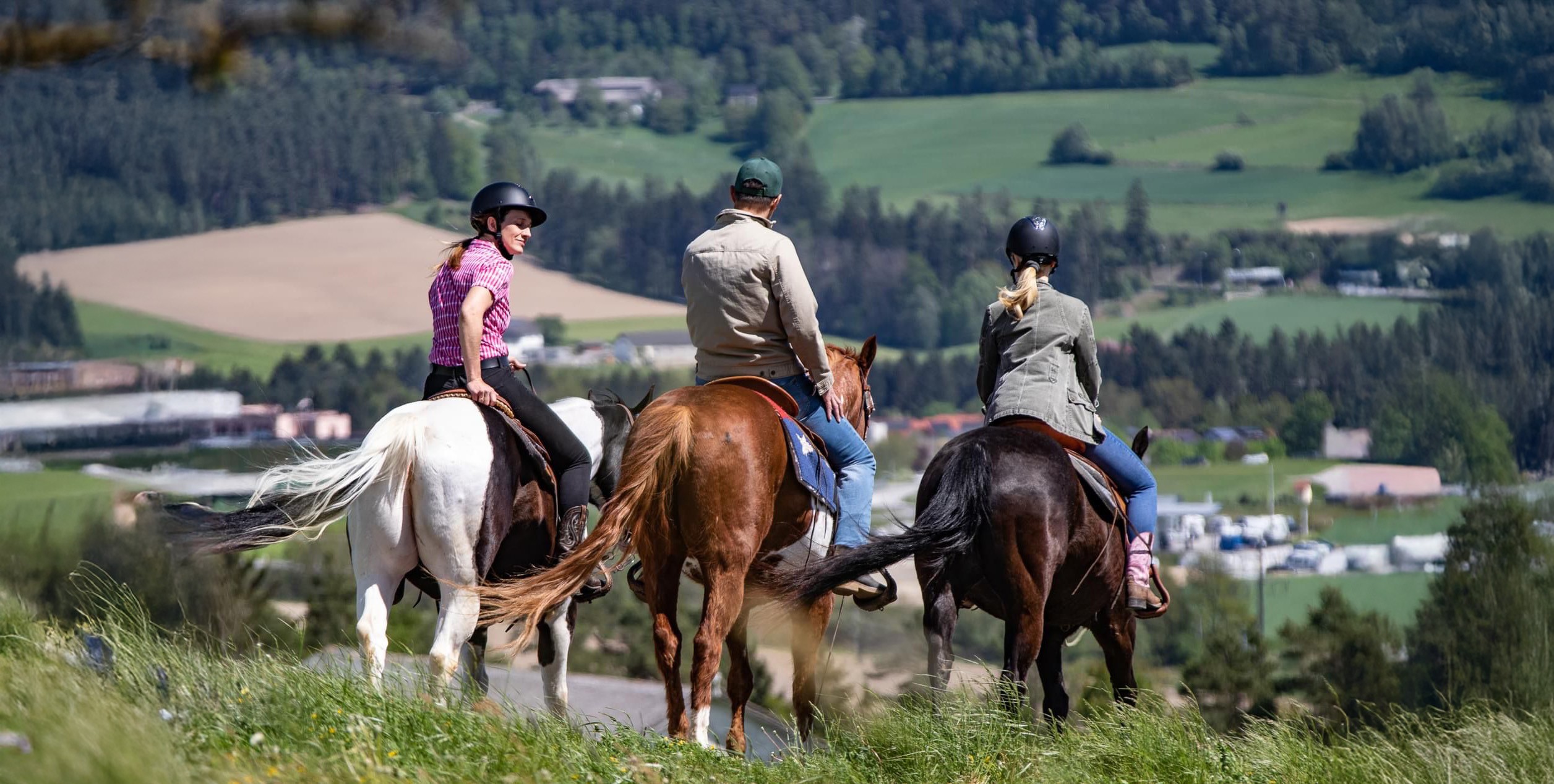 Close-up of a dark green leaf showing its textured surface and central vein against a muted background.