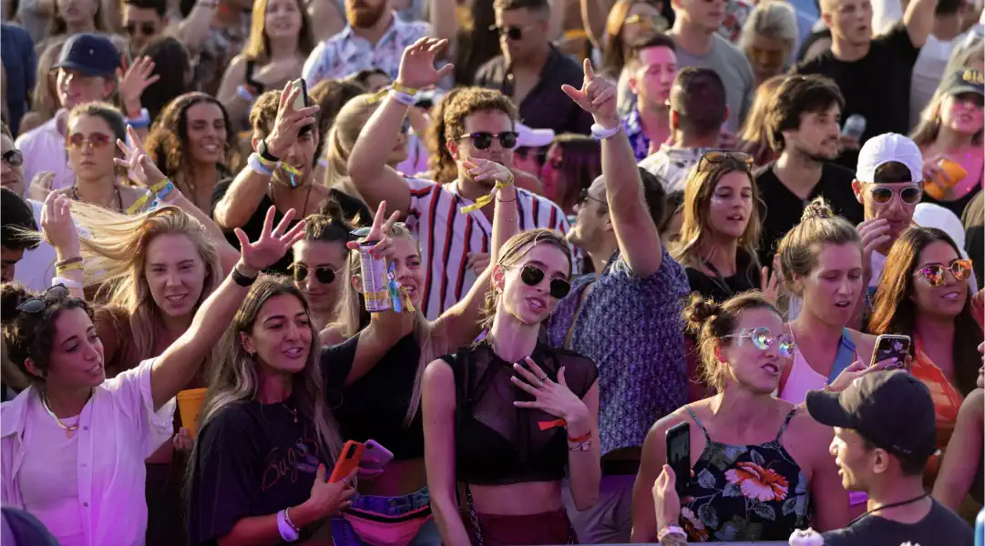 Lively crowd enjoying music at Palm Tree Music Festival