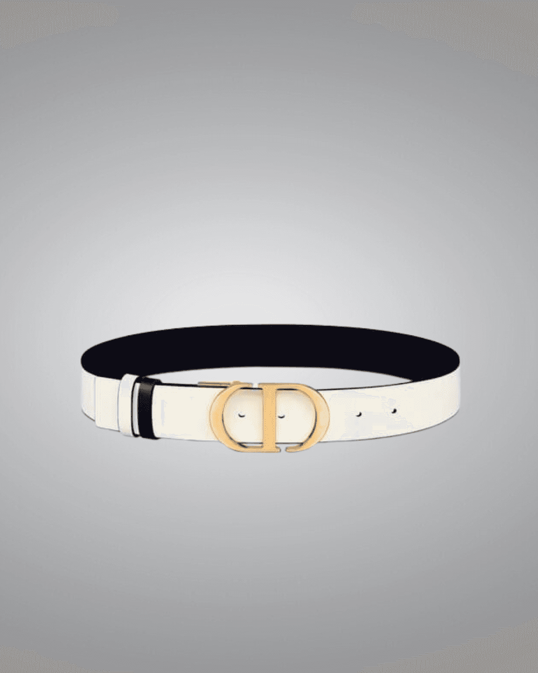 Dior Reversible Belt in Black & Latte