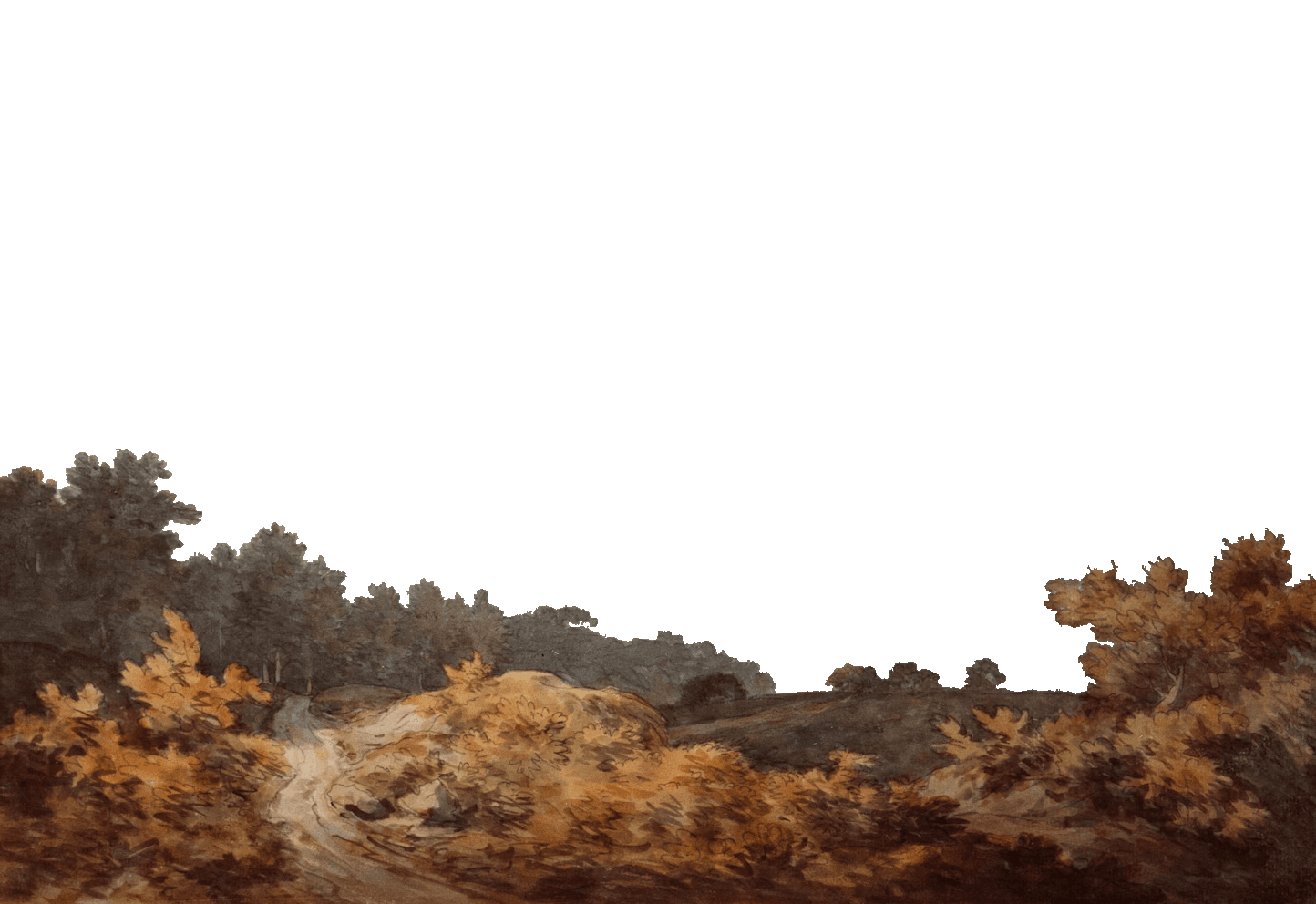 brown and grey trees and rock formation painting wit no background