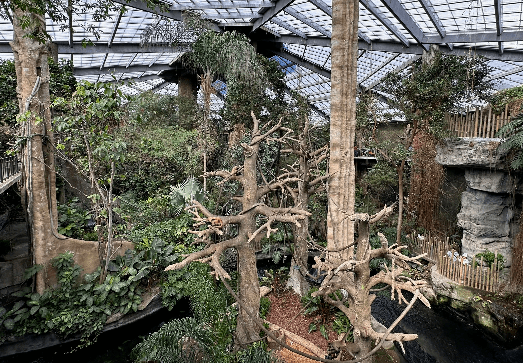 Walking through Lied Jungle indoor rainforest