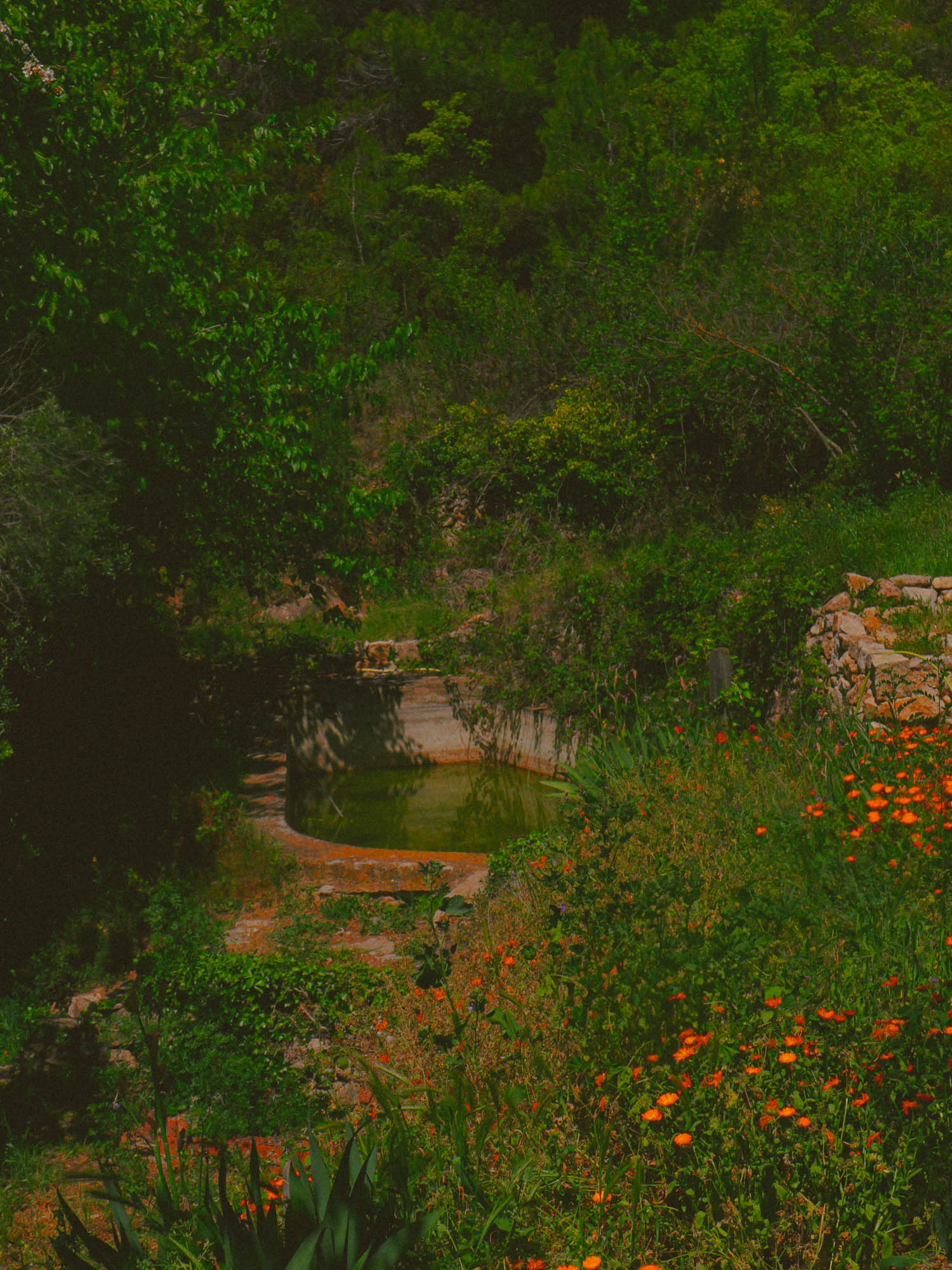 A disused Roman bath in a forest clearing.