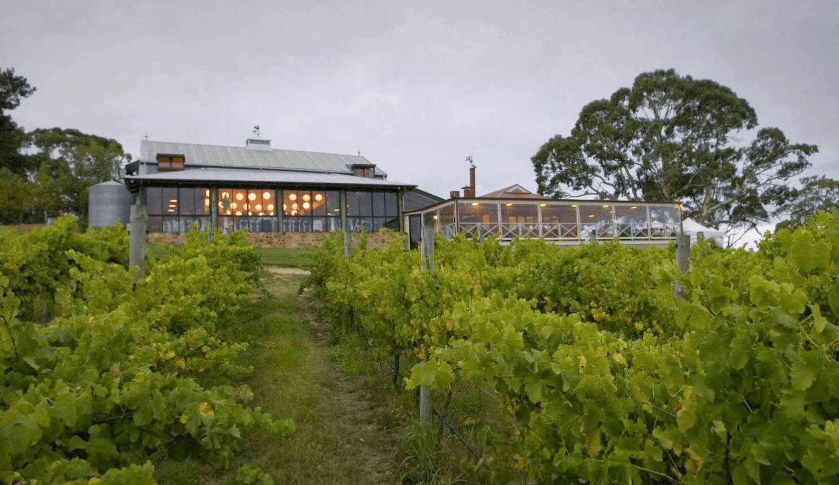 Longview Vineyard SA