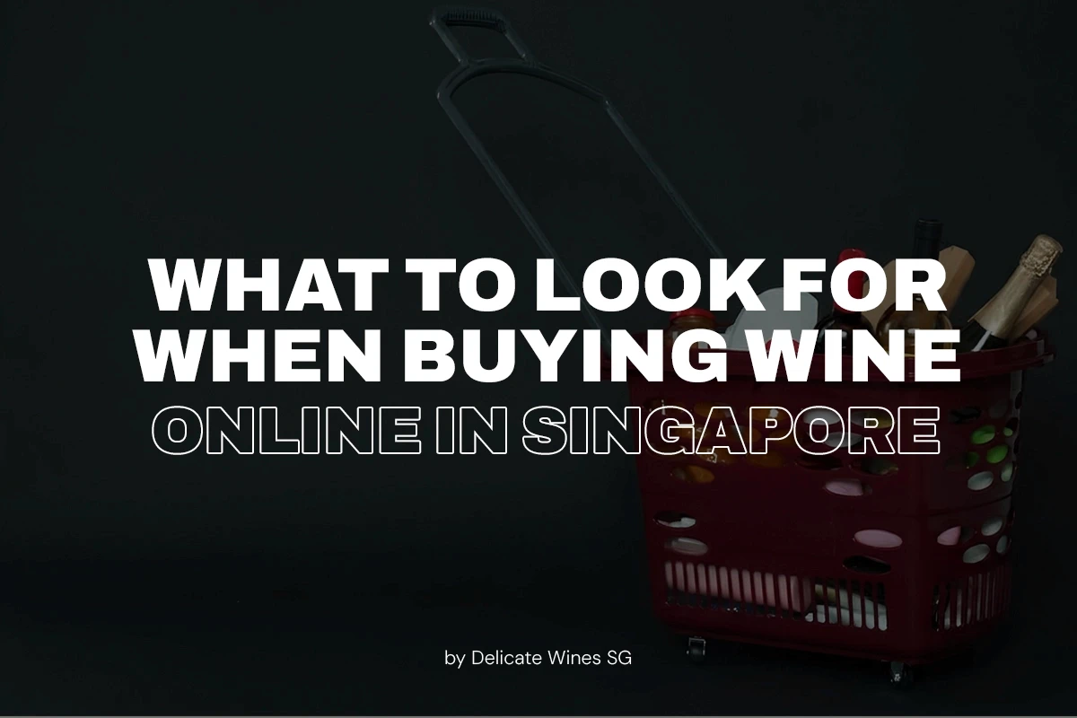 what to look for when buying wine