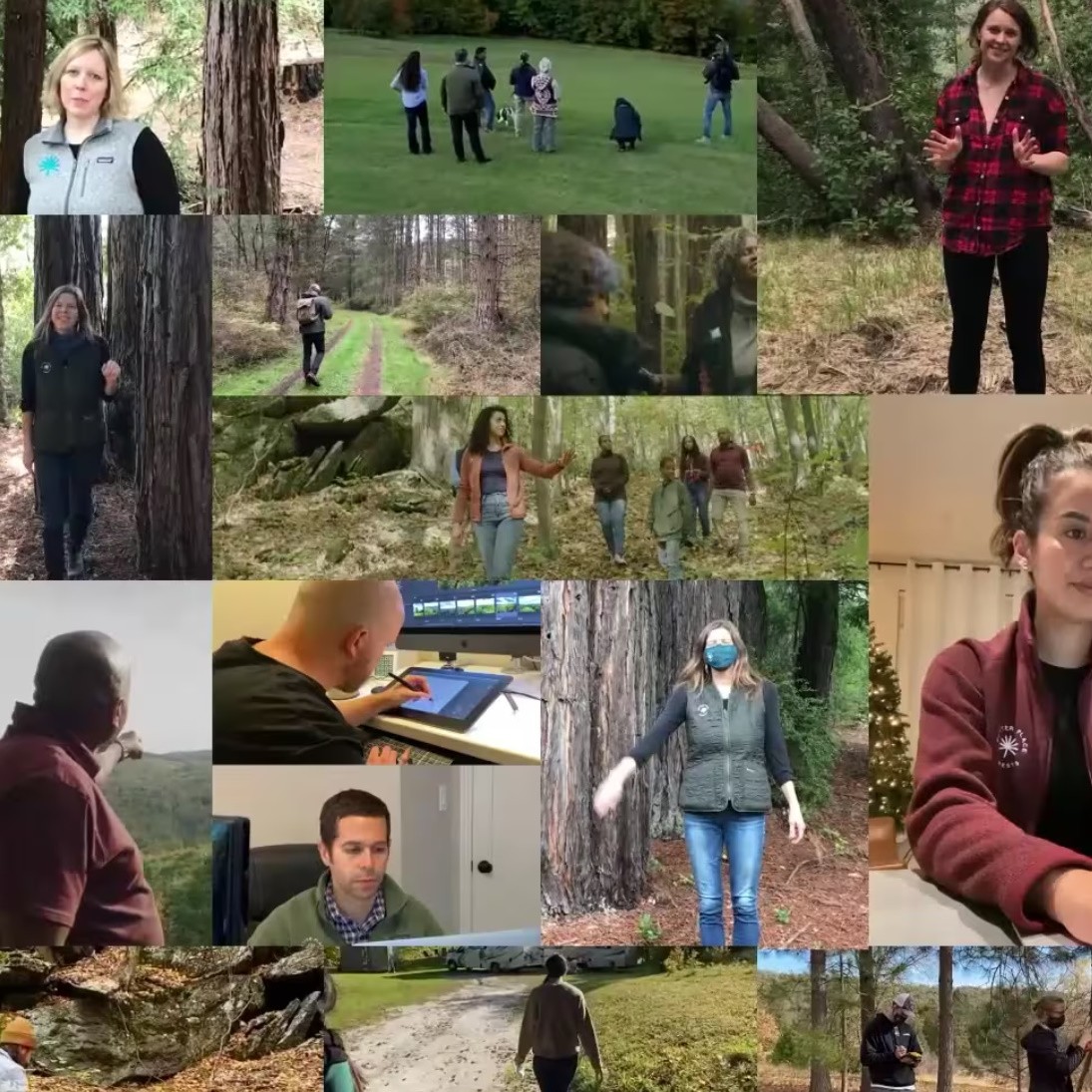 Better Place Forests "Thank You"