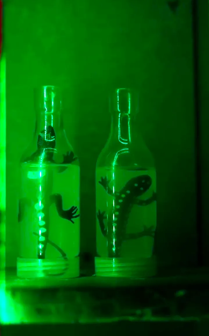 Players immersed in magical props and puzzles at mystery room near me – Magic Show escape game in NCR