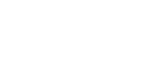 Logo Renato Cariani