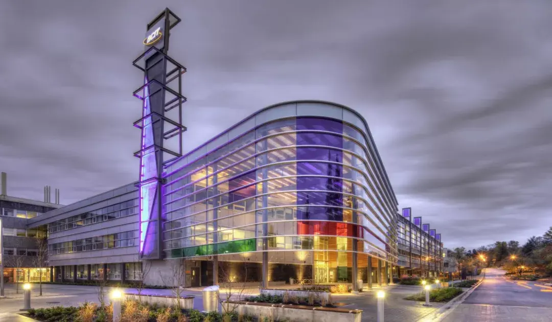 white university during daytime