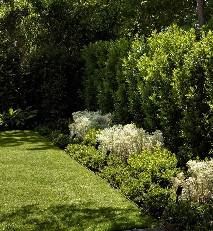 Beautiful landscaped garden with greenery and outdoor design elements.