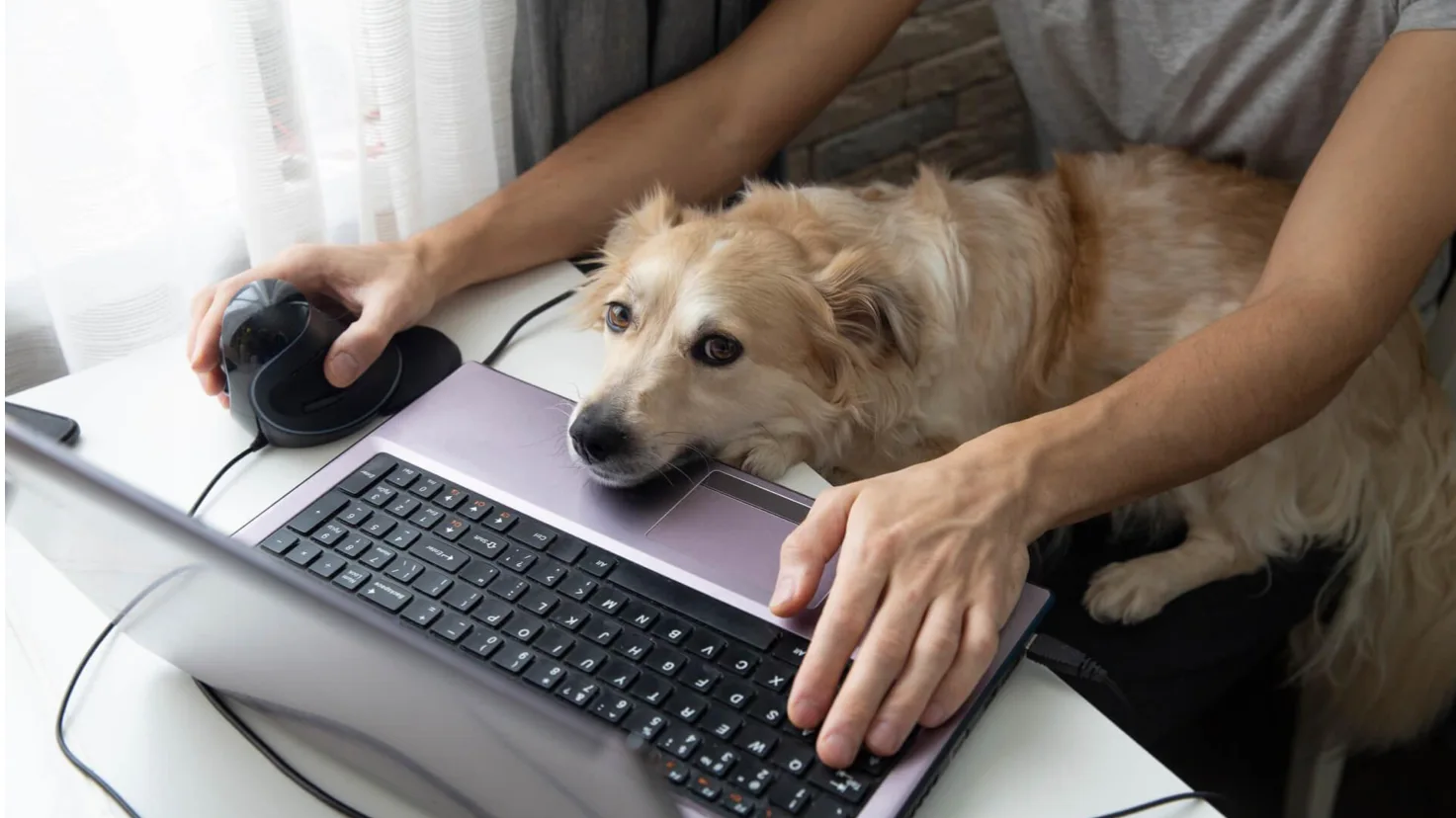 Remote work has proven more productive for the majority of telecommuters