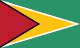 Guyana flag