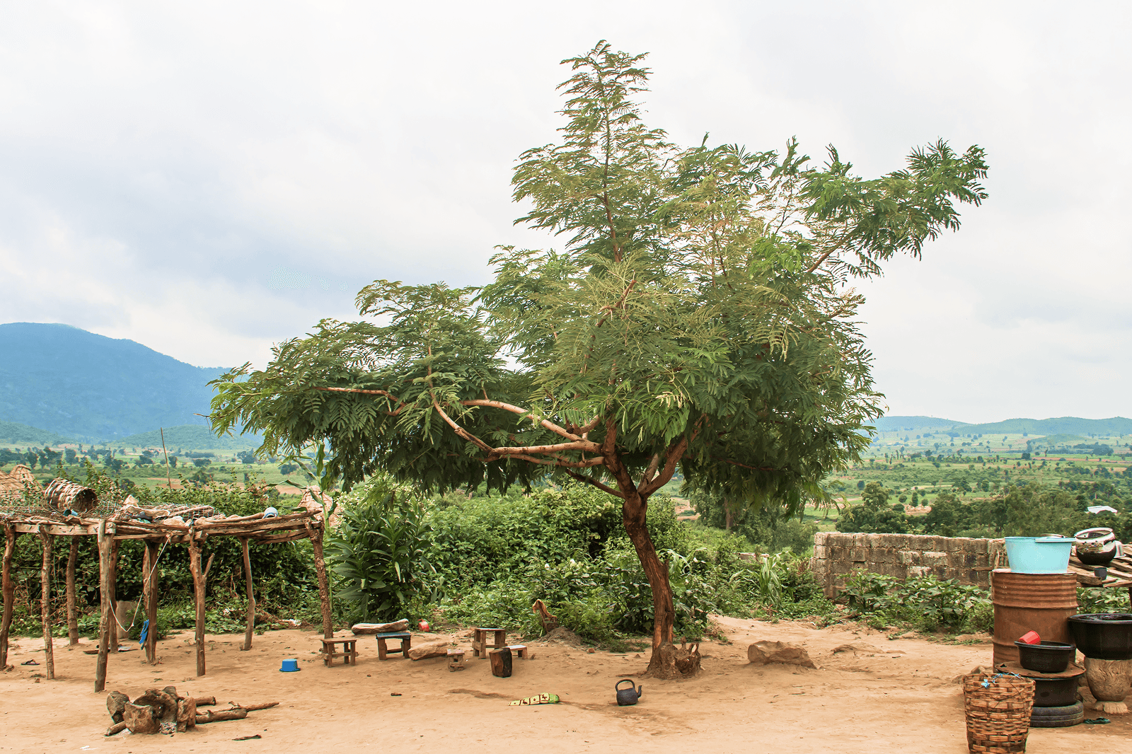Working on the field next to a tree