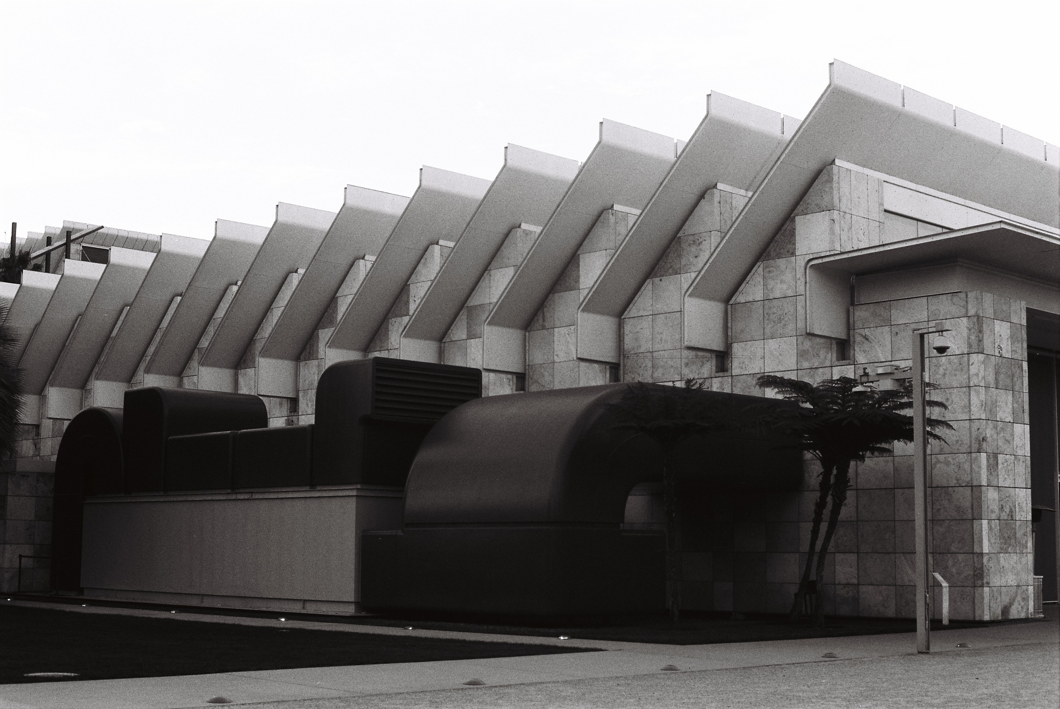 Photo by Renee G. Gudiño