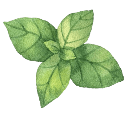 A botanical illustration of a green herb with deep purple seeds, symbolizing the natural and Ayurvedic essence of Au Revoir Wellness Resort, which promotes holistic healing and well-being through nature-inspired therapies.