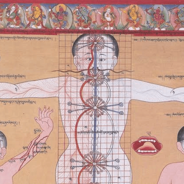 tibetan healing system,  indian retreat