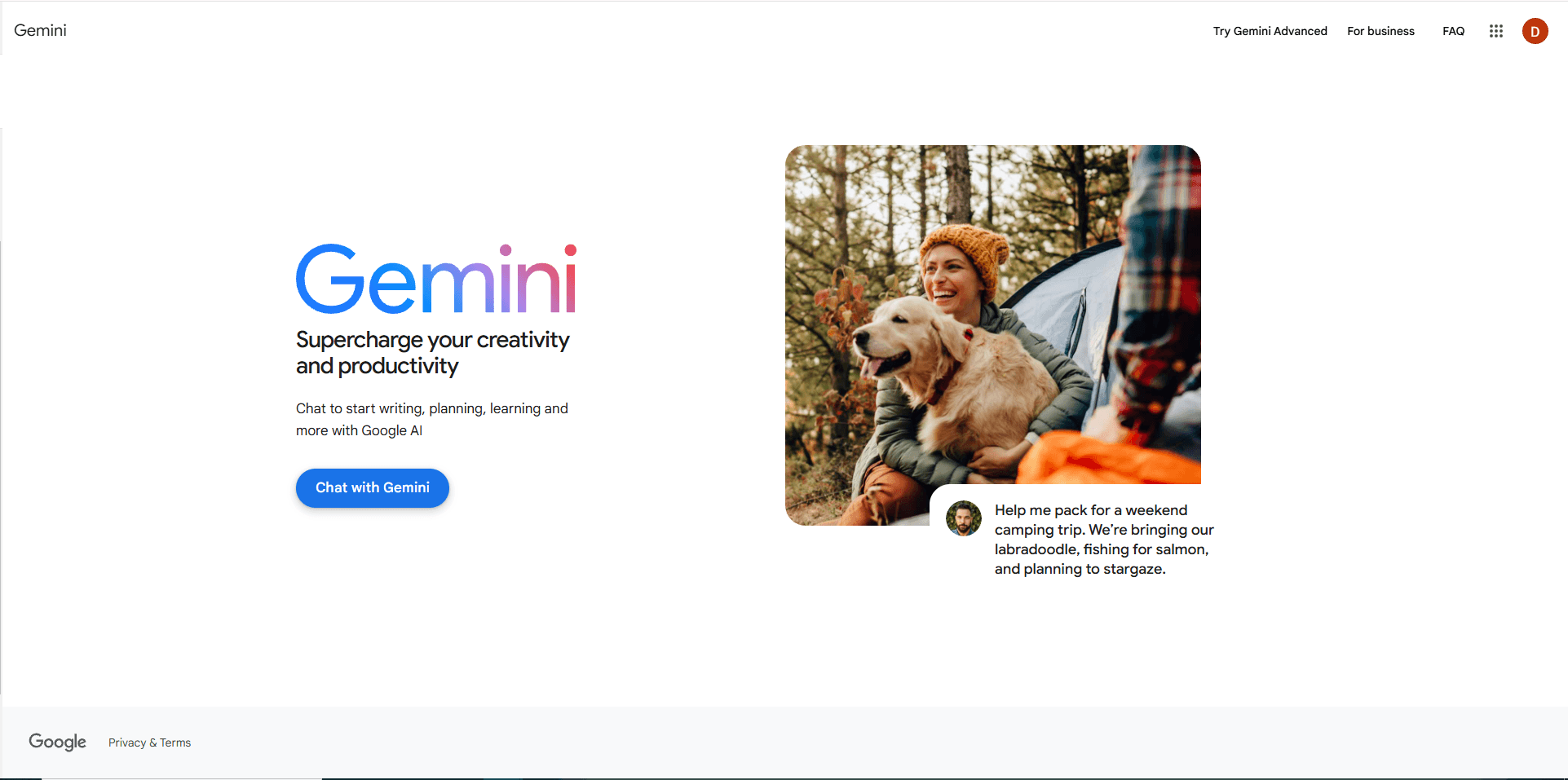 Google Gemini image