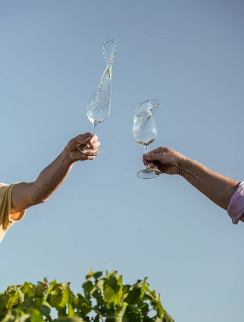 Deux verres de vin blanc levés vers le ciel