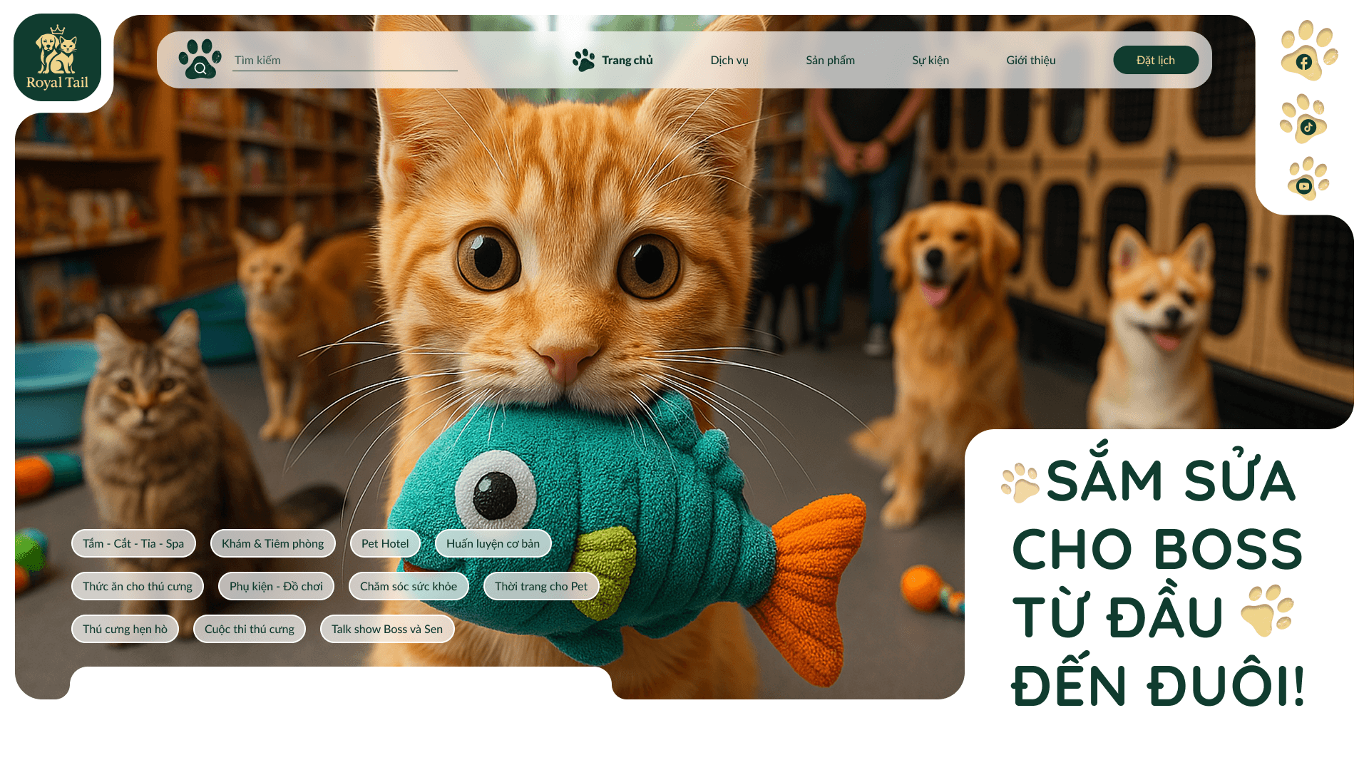 Blog Content Image - 3