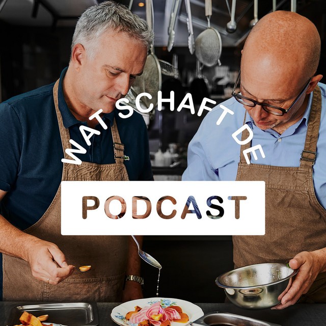 Wat schaft de podcast