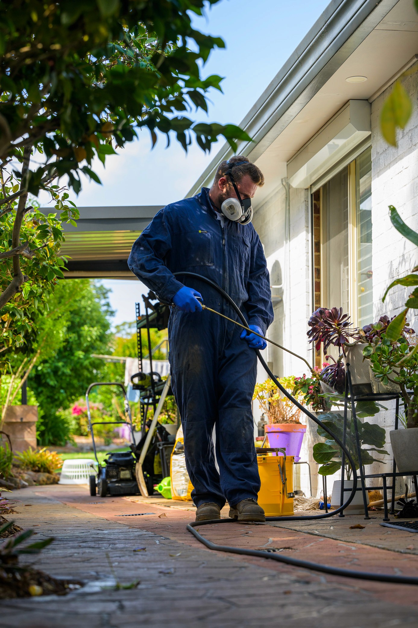 Pest technician spraying around doorways, windows and pots outdoors to prevent pests such as spiders creating webs or entering the home