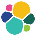 Elastisearch Logo