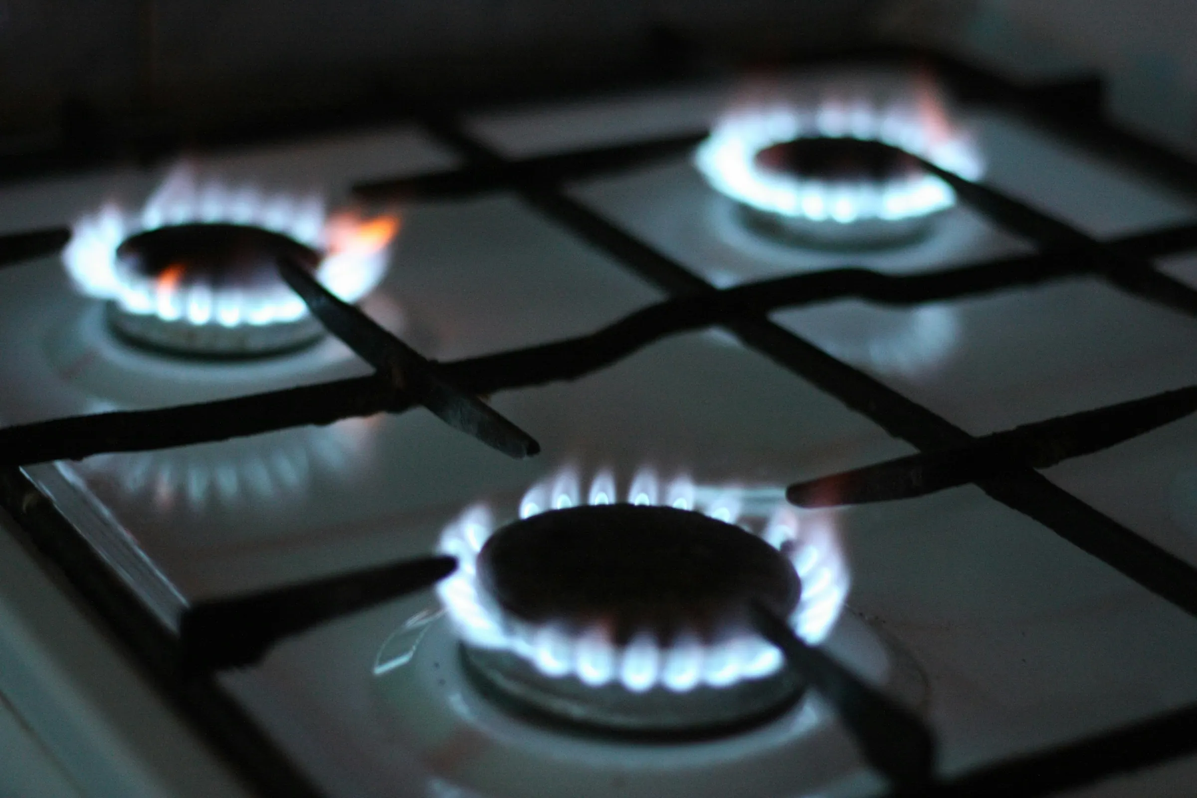 Gas stove burners lit with blue flames