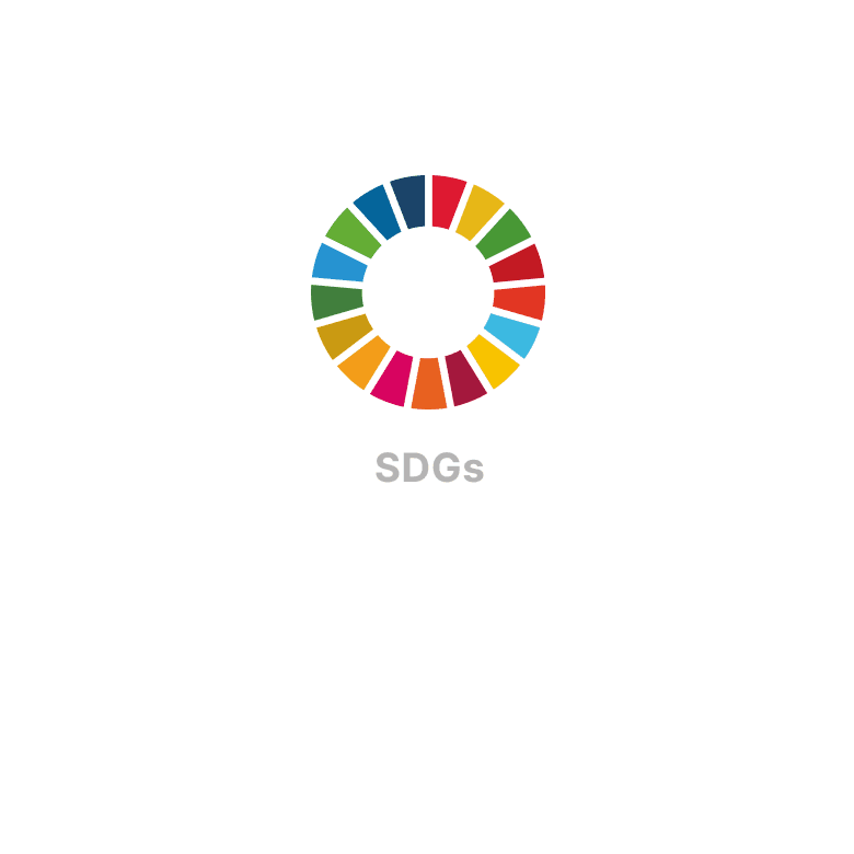 Circular icon representing the UN Sustainable Development Goals (SDGs).