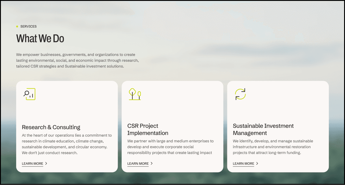 Bittern consulting desktop what we do section