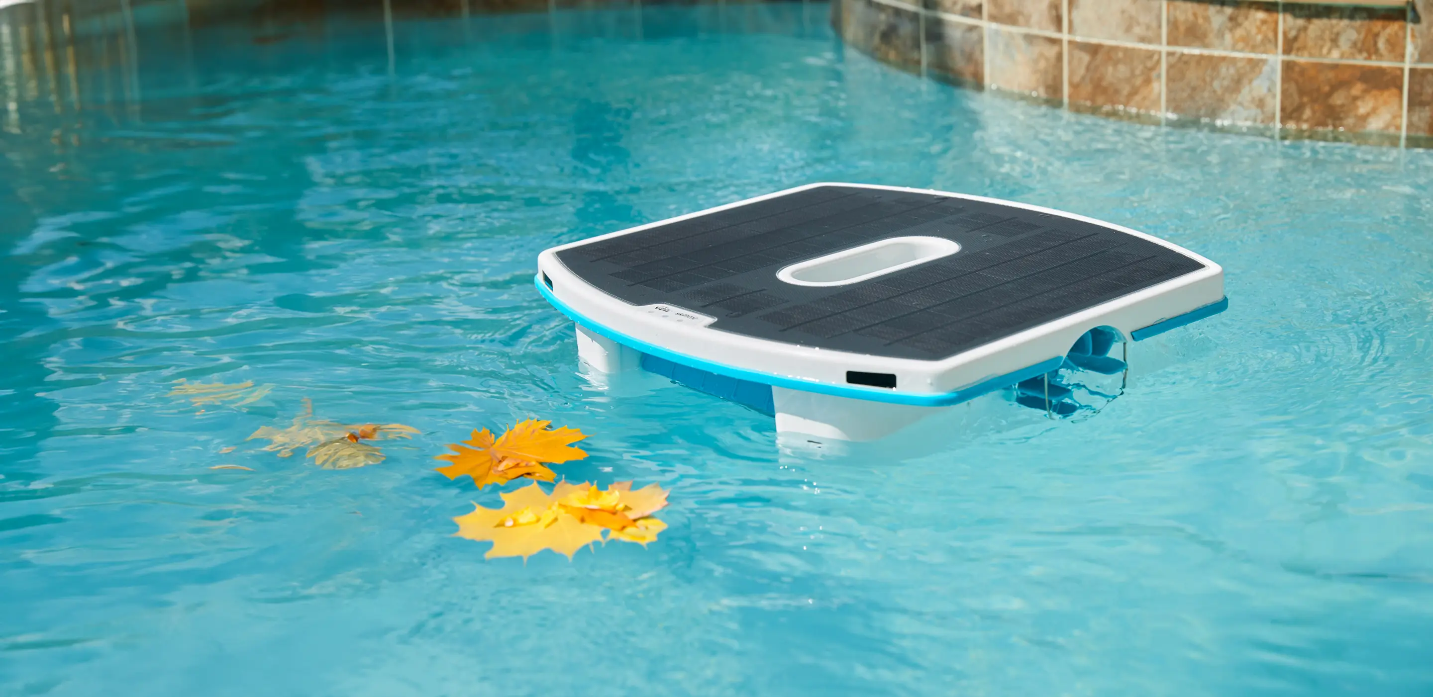 A Maytronics Skimmi robot in a pool cleaning floating leaves