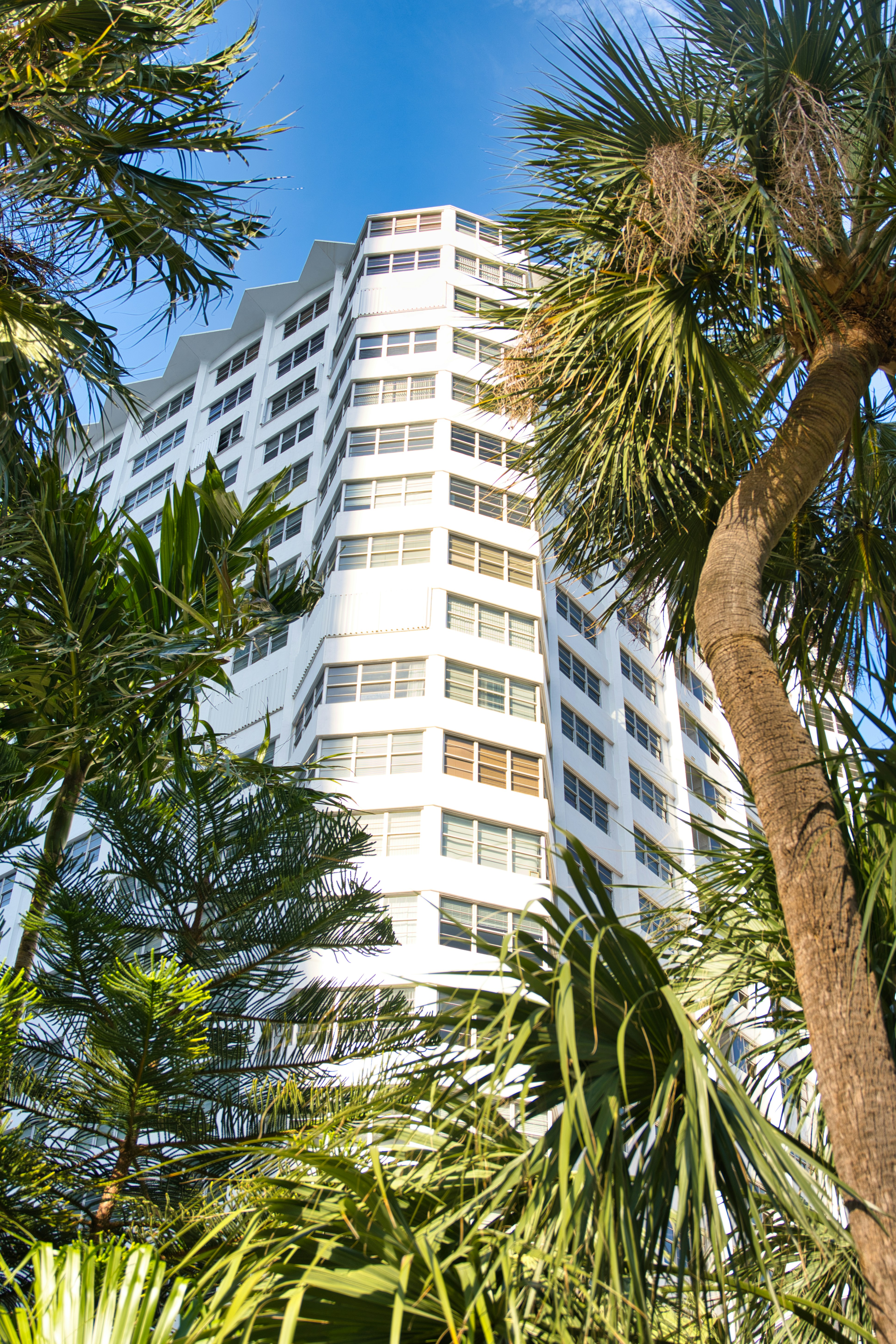 green palm tree near white concrete building during daytime