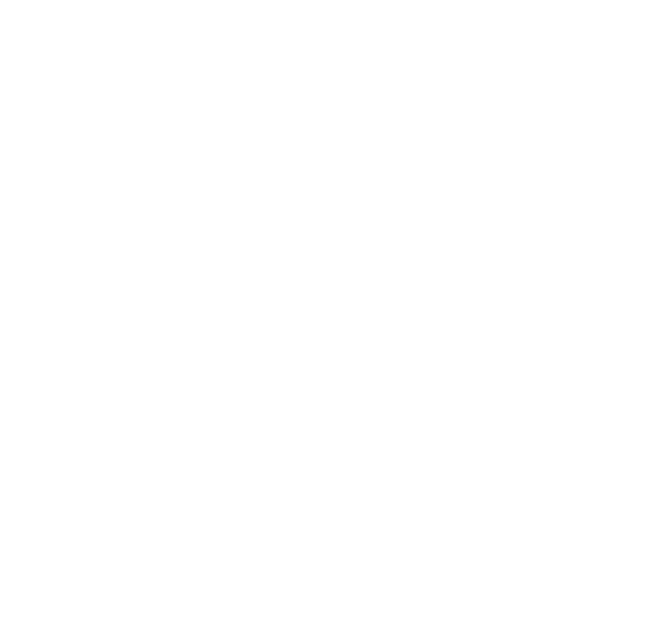 Wordpress Logo