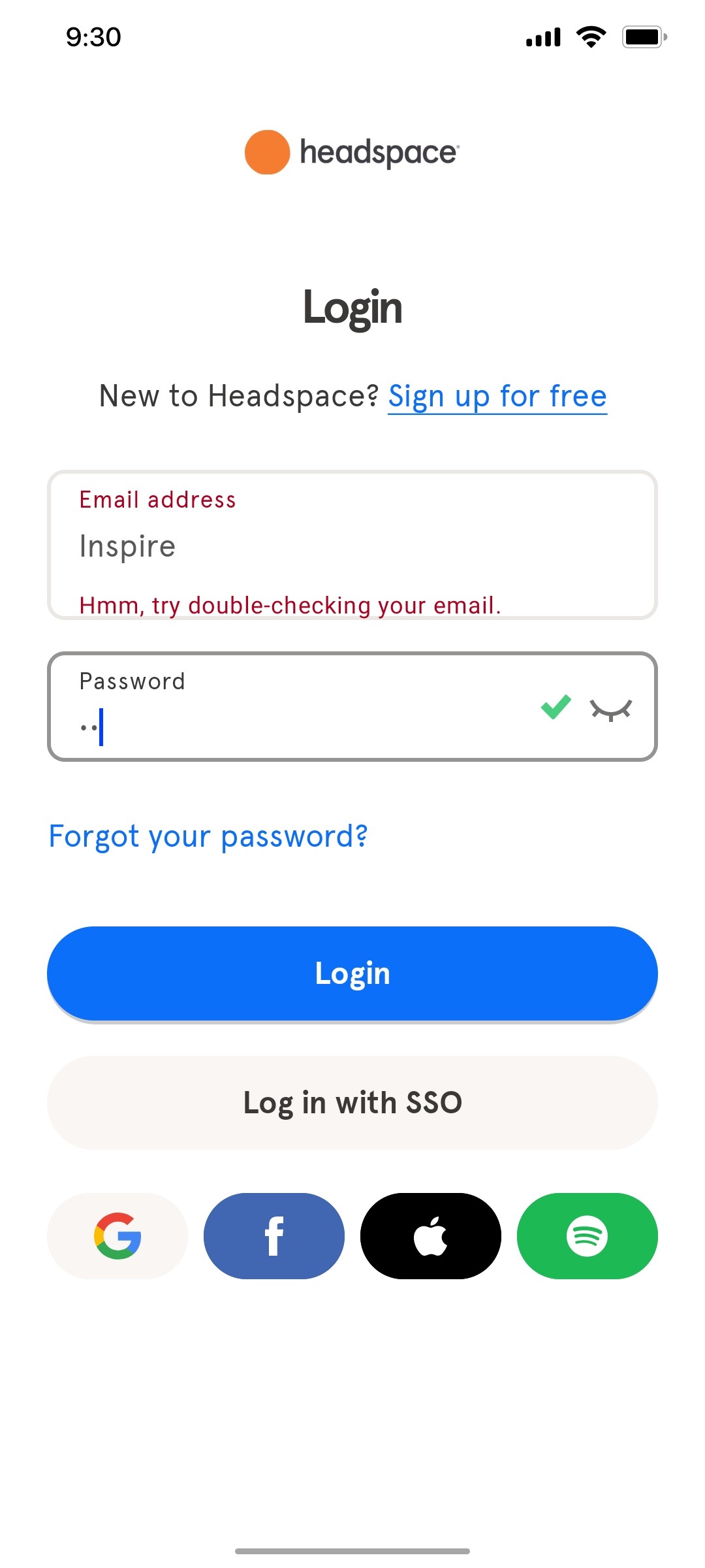 Headspace Input error screen