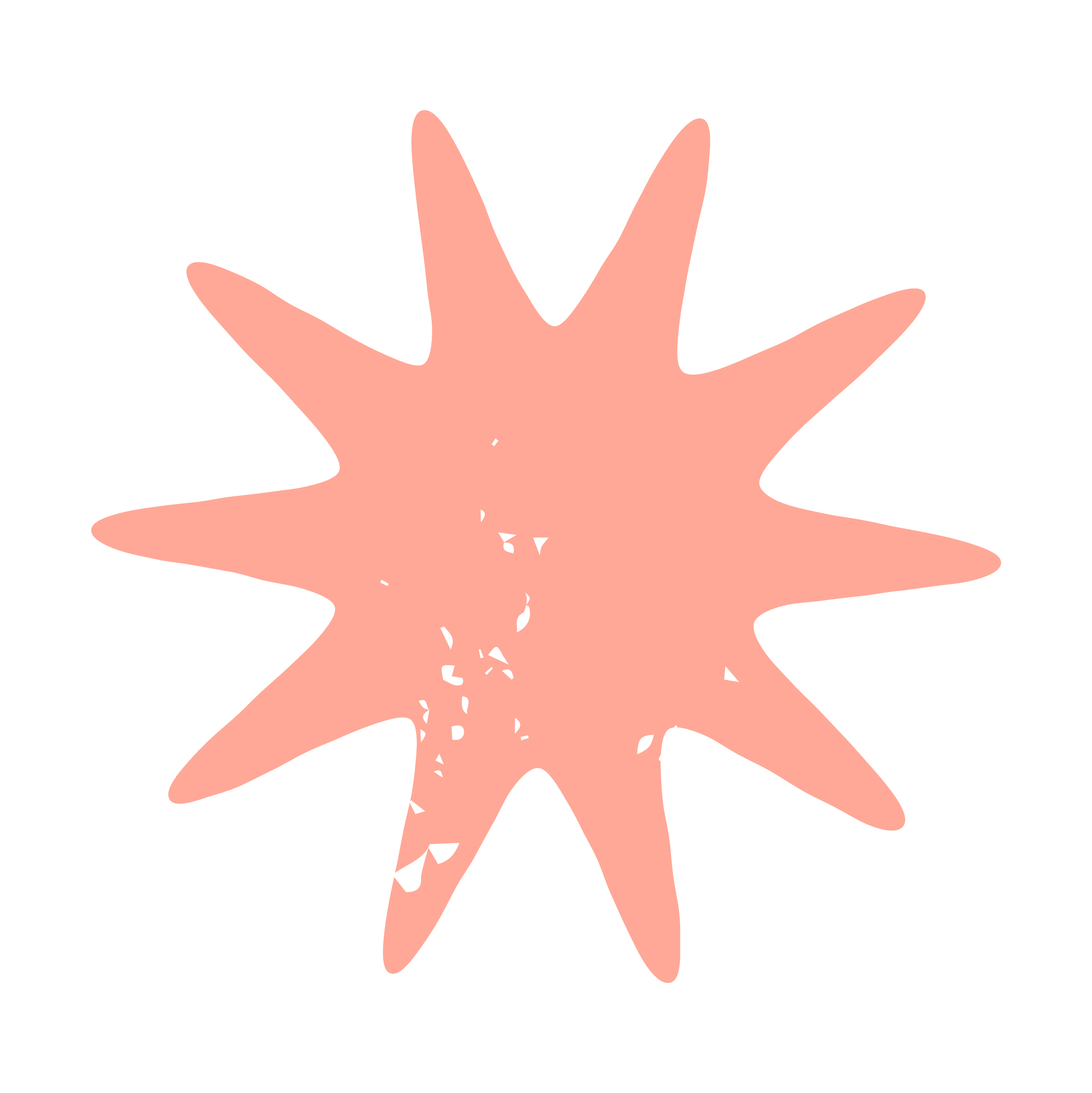 Shape