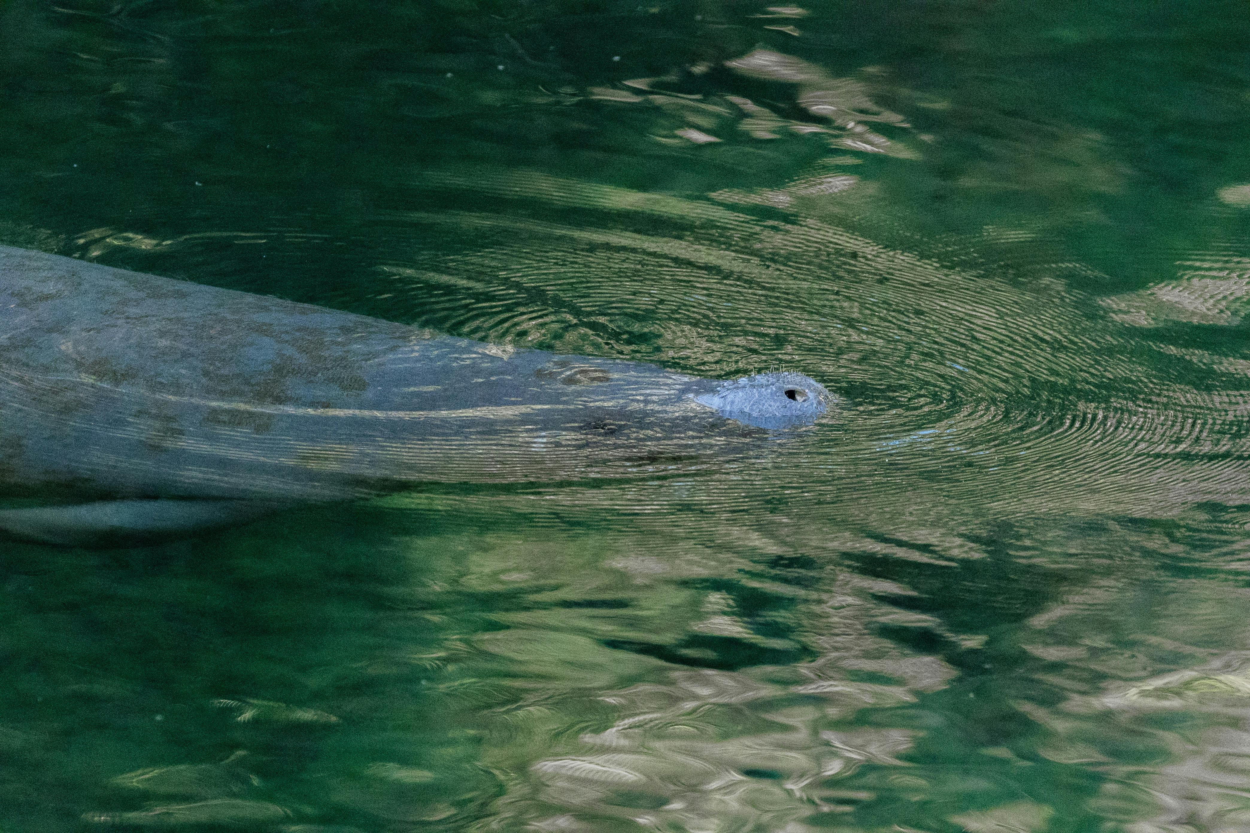 Water teal arial view drone shot