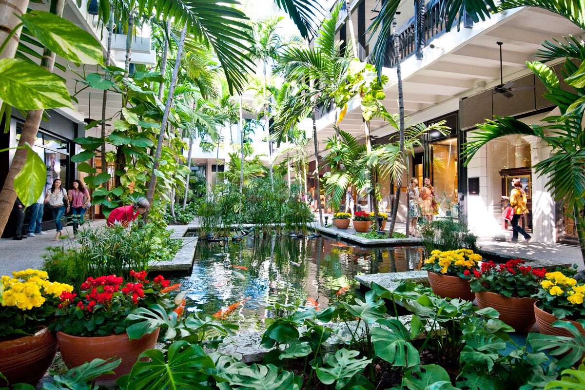 Urban Oasis