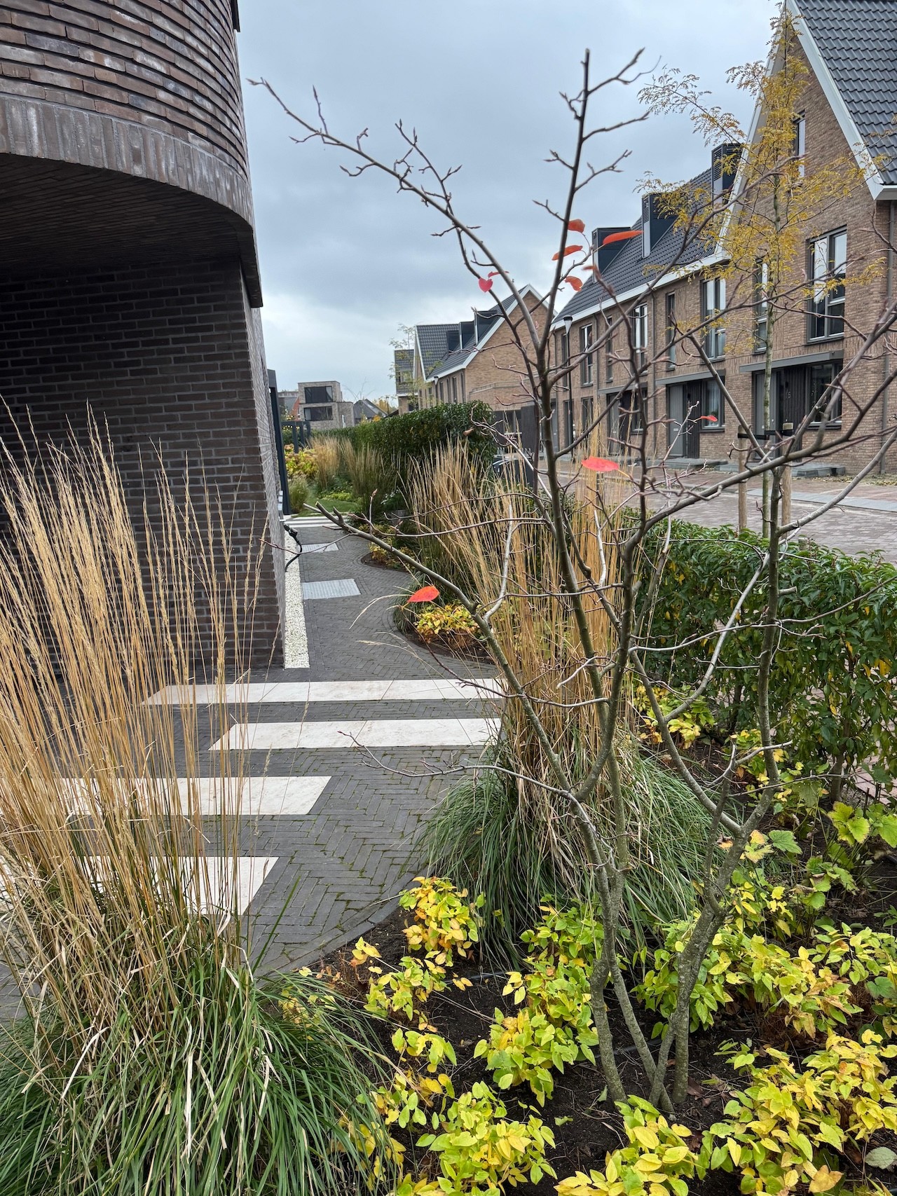 Tuin passend bij moderne woning in Amersfoort - Art gardens