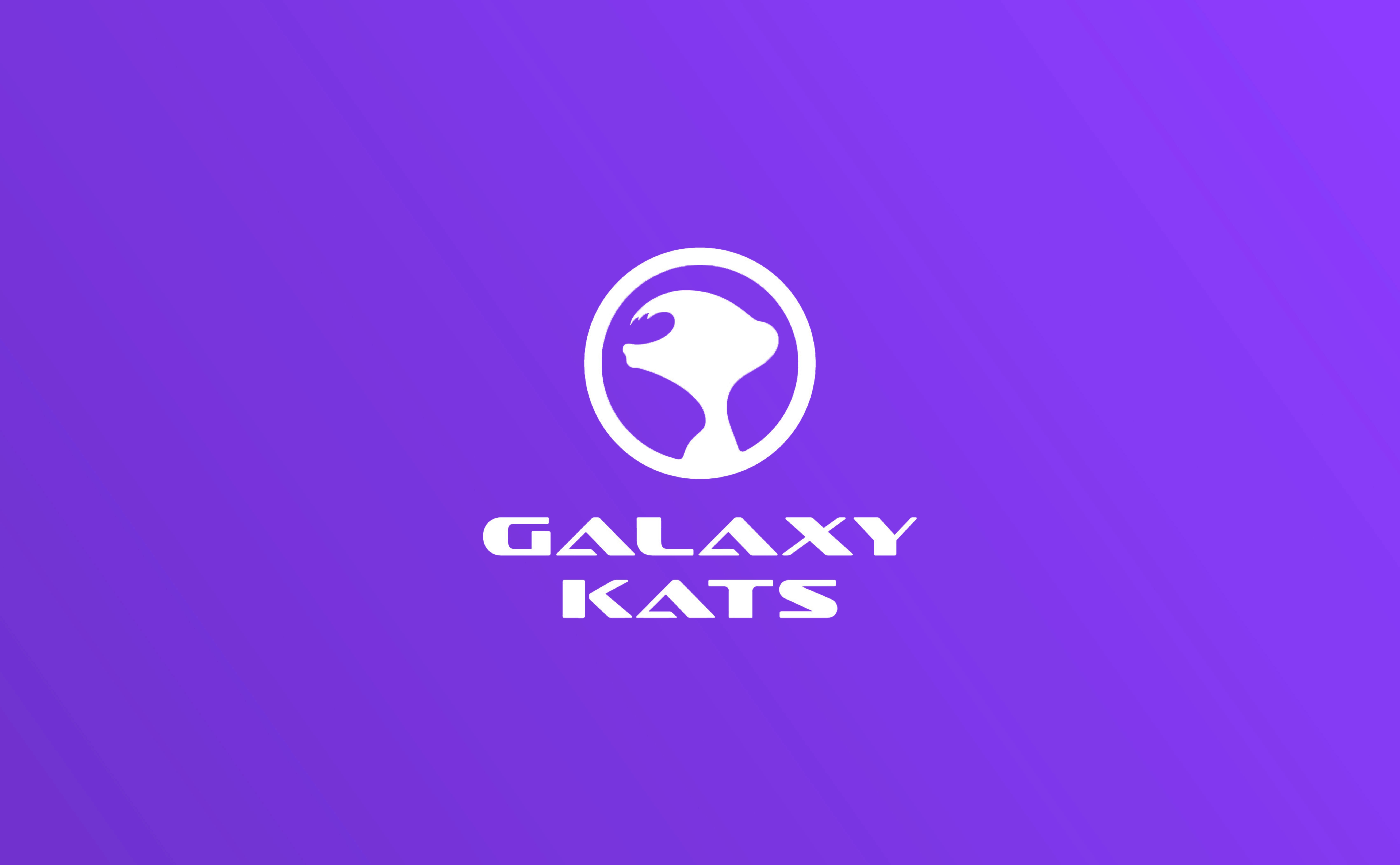 A silhouette of a meerkat with "GalaXY Kats" below