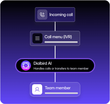 Call flow from incoming call to going through IVR or to Dialbird AI agent depending on conditions, and transferring to a team member where needed.