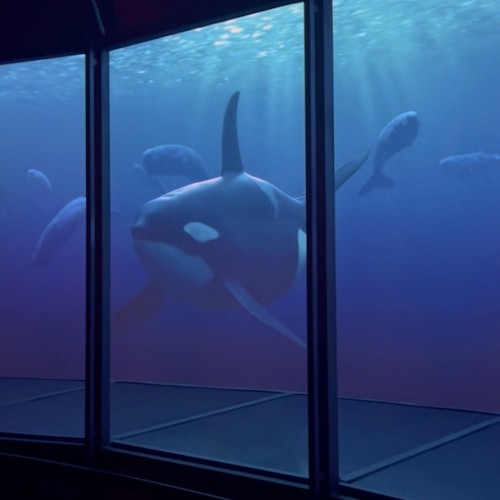 XPERIA - ઓશન યાત્રા: સેવિerville માં પ્રવેશ ટિકિટ