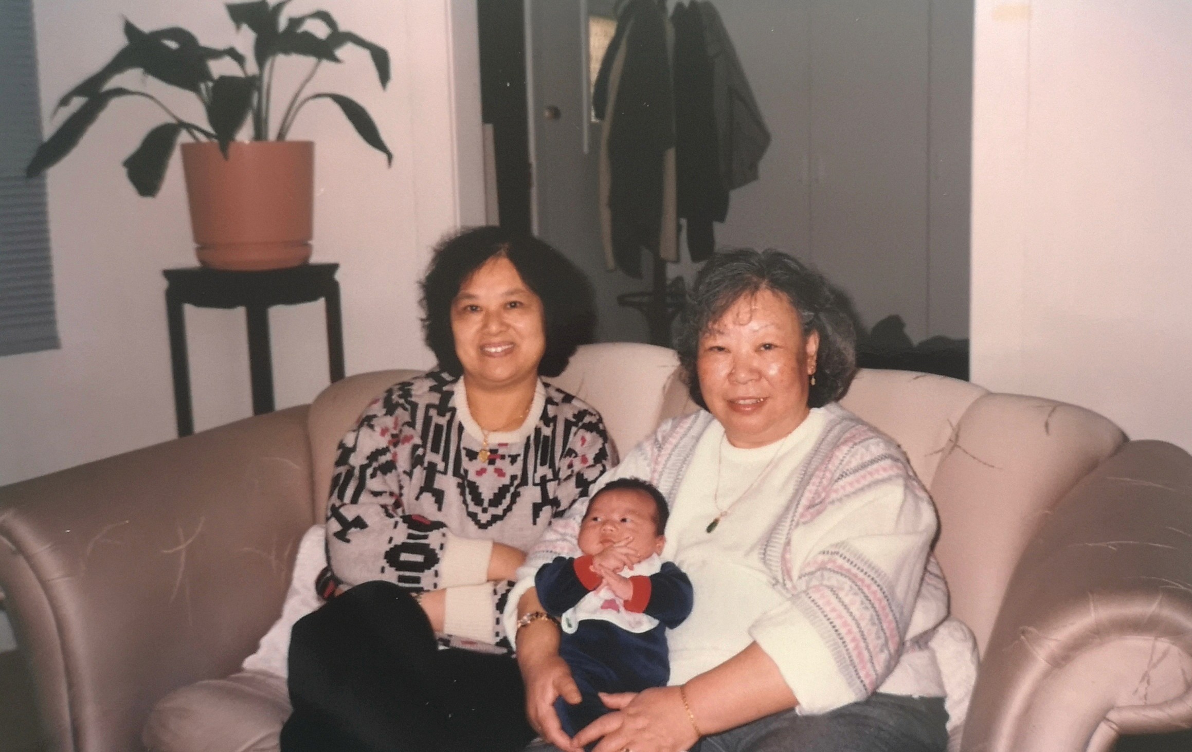 "Adoras family voice recording timeline with mom grandma stories organized"